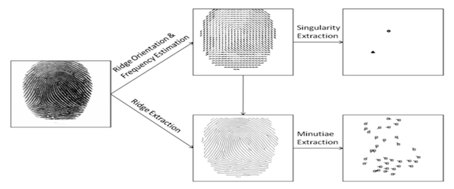 清華大學馮建江：指紋識別現狀與研究進展